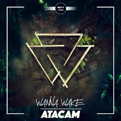Atacam - Single