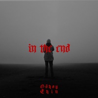 In the End - Single - Gökay Ekin