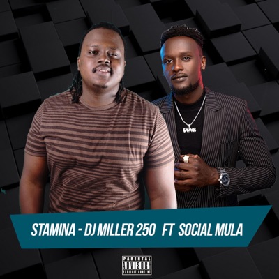 Stamina (feat. Social Mula) - Single