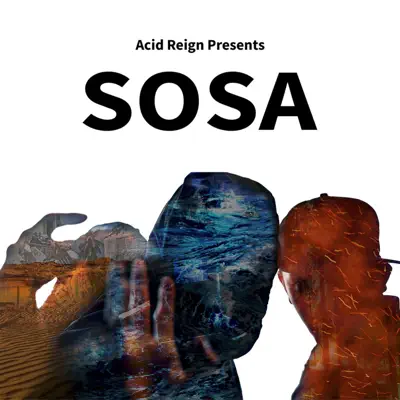 Sosa - Single - Acid Reign