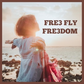 I'm Going to Make It (Danny Cotrell Remix Radio Edit) Fre3 Fly