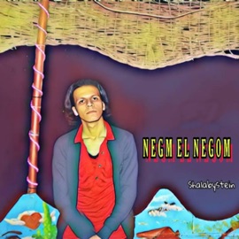 Negm el Negom Shalabystein