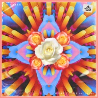 What I Like (feat. IDA fLO) - Single - Go Freek