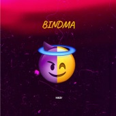 Bindma artwork