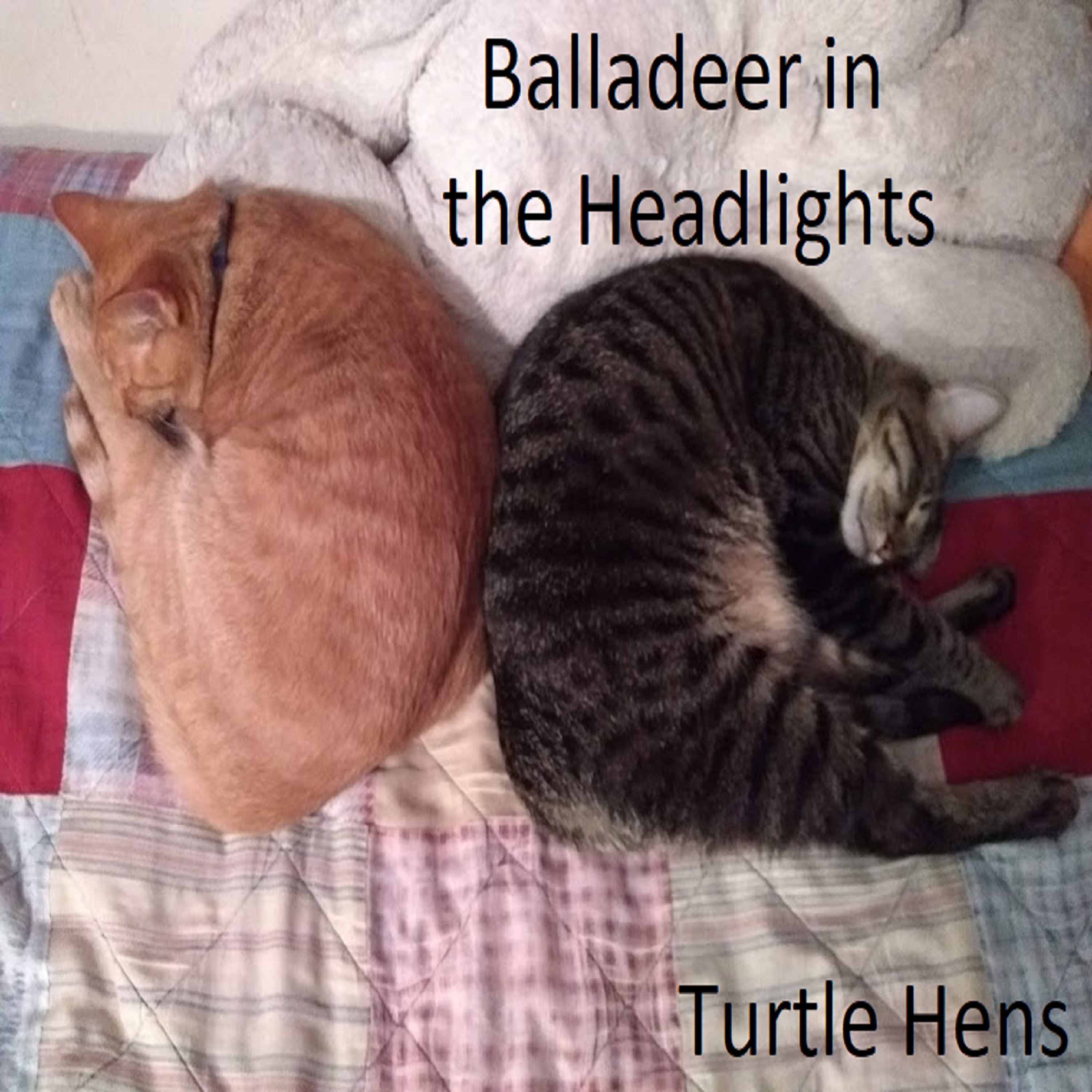 Turtle Hens
