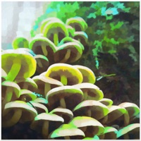 Day Trippin - Single - Raz-One