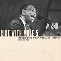 Who's Been Talking (Live) (feat. Tommie Harris)