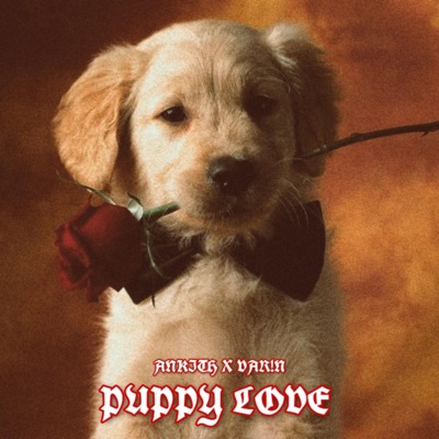 Puppy Love (feat. Var!n) - Single