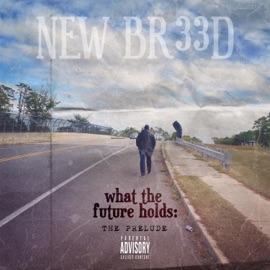 Vision (feat. Chill Smith & Inf Grizzy) NEW Br33d