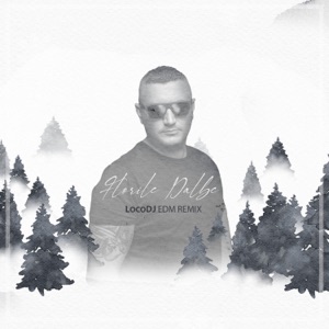 Florile Dalbe EDM Remix - Single
