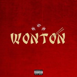 Wonton Ghandiii