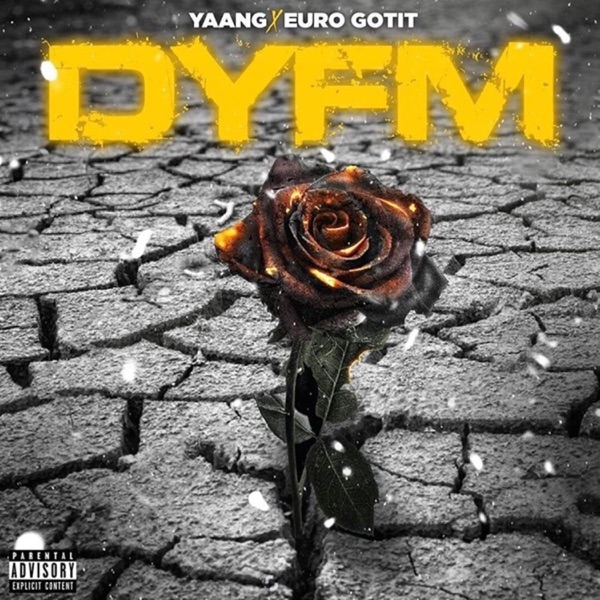 Dyfm (Don't You Forget Me) [feat. Euro Gotit] - Single