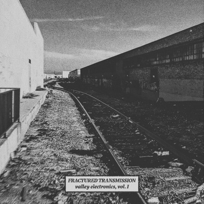 Valley Electronics, Vol. I