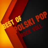 Best of Polski Pop: Rock Vol. 1 artwork