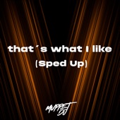 That's What I Like (Sped Up) [Remix] artwork
