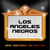Los Ángeles Negros: Una Historia de Éxitos