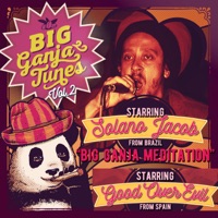 Big Ganja Meditation (feat. Positive Vibz) - Single - Solano Jacob & Good Over Evil