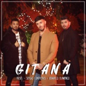 Gitana (feat. Sergio Contreras y Demarco Flamenco) artwork