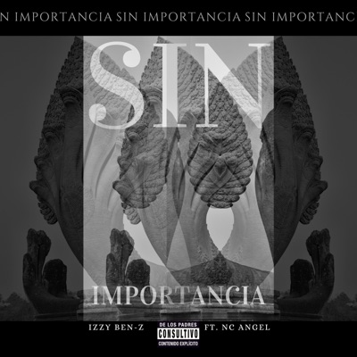 Sin Importancia (feat. NC Angel) - Single