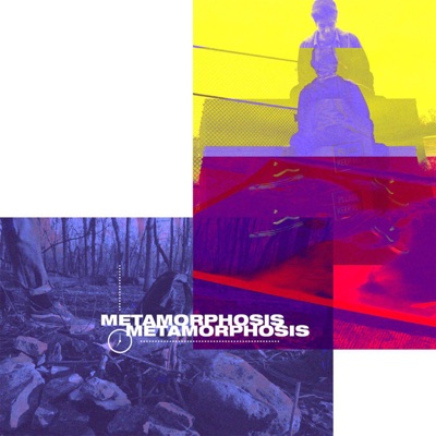 Metamorphosis - Single