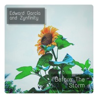 Before the Storm - Single - Edward Garcia & Zynfinity