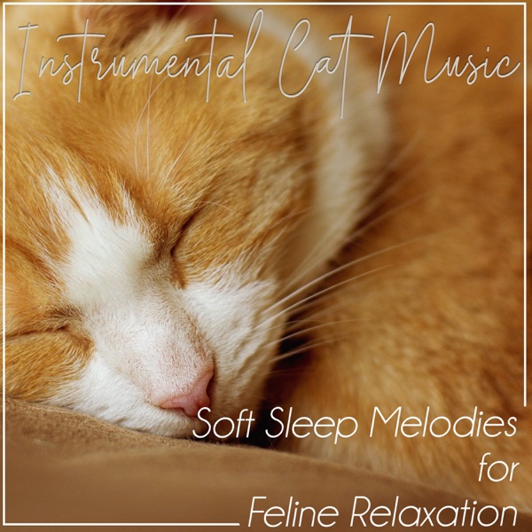 Instrumental Cat Music: Soft Sleep Melodies for Feline Relaxation