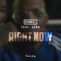Right Now (feat. Sona) - Single - Bonkaz