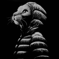 Who Would of Thought (feat. Israel Vich) - Single - Bradley Elias