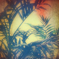 Espers - Single - Phortran