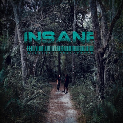 Insane (feat. PreyforPan) - Single
