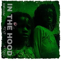 In the Hood (feat. Drillo & Meeky Boy) - Single - D.S.6