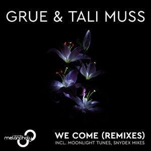 We Come (Remixes) - Single