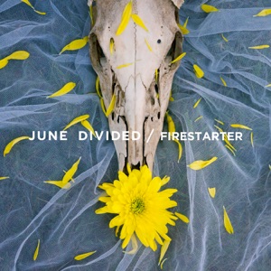 Firestarter - Single