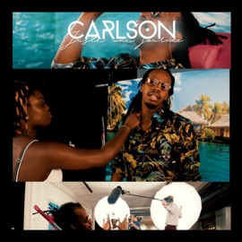Juste une journée Carlson