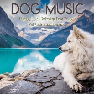 Dog Music : Puppy Love Relaxing Dog Songs, Pet Calming Therapy