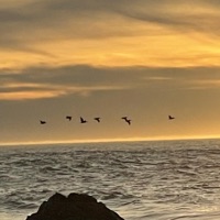 111 - Single - Prettyheartbreak