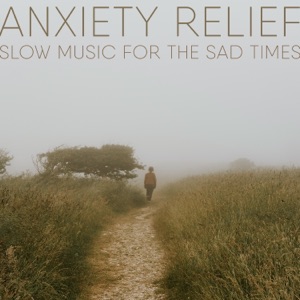 Slow Music for the Sad Times