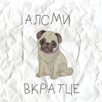 Вкратце - Single - АлСми