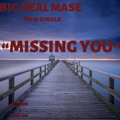 Missing You - Single