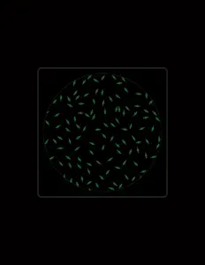 Listen to Cicuendez, watch music videos, read bio, see tour dates & more!