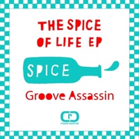 The Spice of Life - Groove Assassin