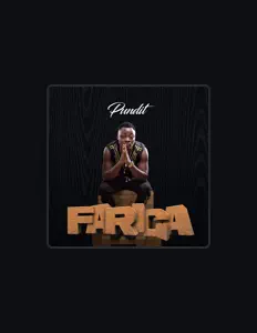 Punditを聴いたり、ミュージックビデオを鑑賞したり、経歴やツアー日程などを確認したりしましょう！