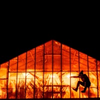 Balanced - Single - DeMaciiio