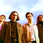 The Lizards