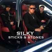 Sticks and Stones artwork