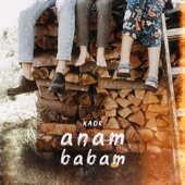 Anam Babam artwork