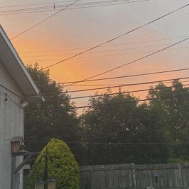 Coincidence Pxradise