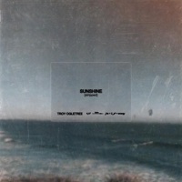 Sunshine (Stripped) - Single - Troy Ogletree