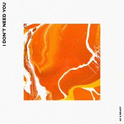 I Don't Need You (feat. Beleaf & Gray) - Single