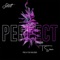 Perfect (feat. T-Sean) - Scott lyrics